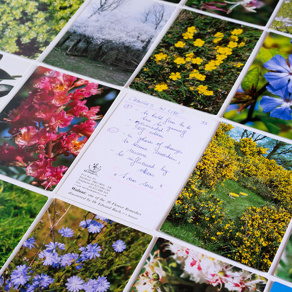 Bach Flower Cards